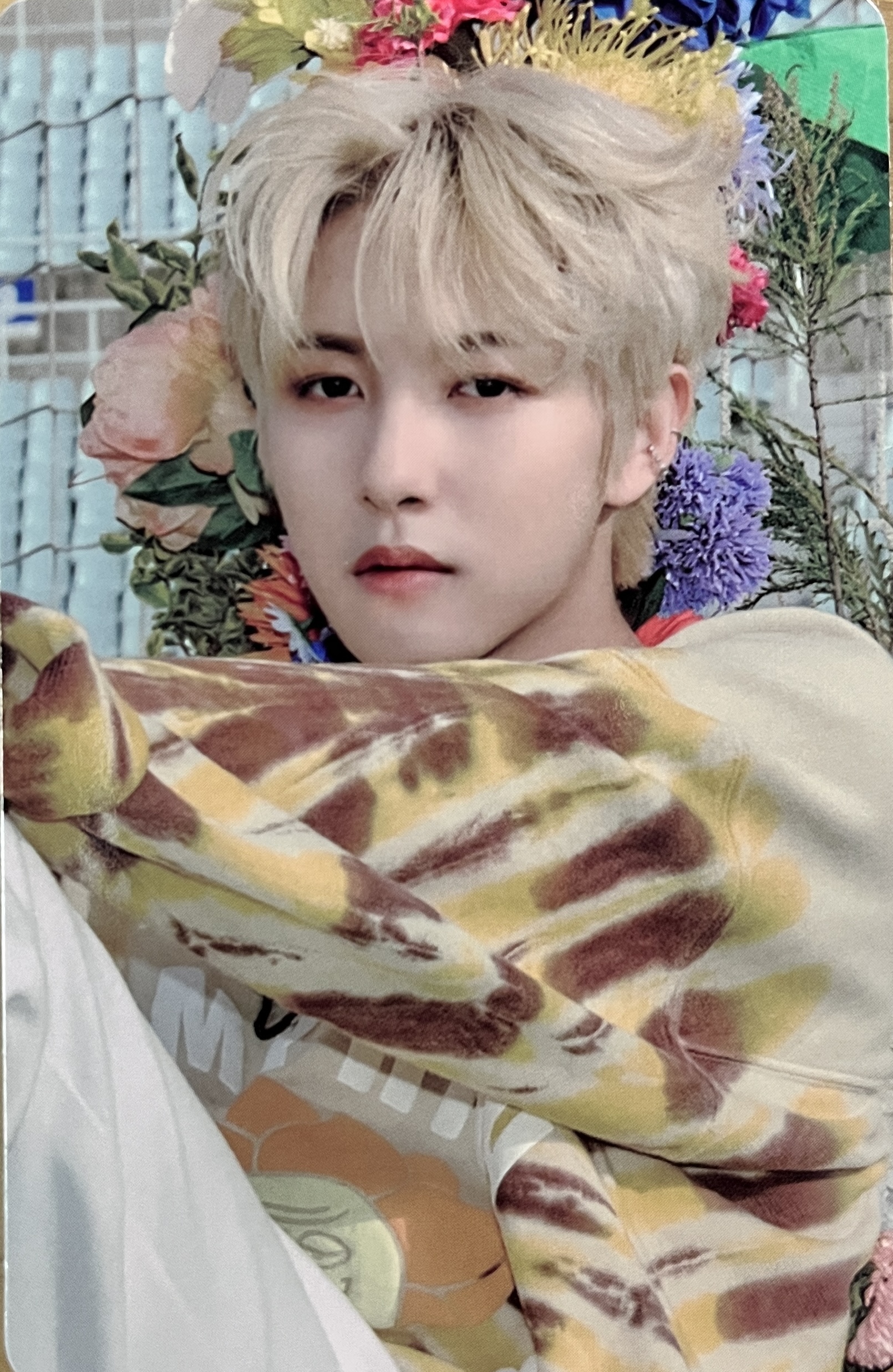 NCT RENJUN Poca Pocamarket Nct renjun poca pocamarket