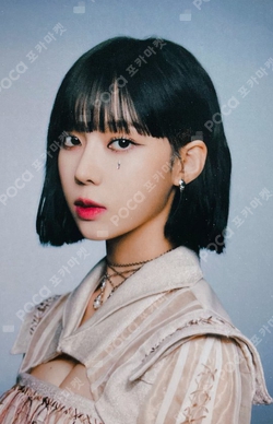 Savage Photo Sticker Set + Photo Card Set Sm Global Shop photocard