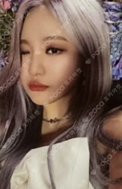 Life's Too Short TRADING CARD SET photocard