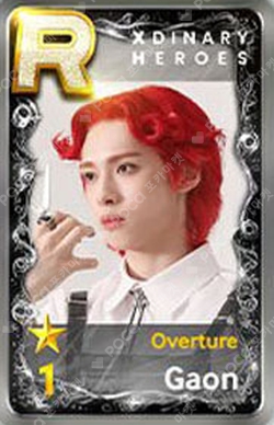 XDINARY HEROS OVERTURE 入場特典　トレカ XdinaryHeroes ガオン OVER TURE 入場特典トレカ Xdinary Heroes Stage