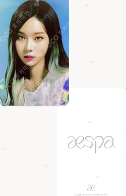 Next Level Keyring photocard