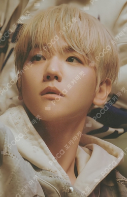Pocamarket, EXO BAEKHYUN EXIST EXOcial Club – Cream Soda RANDOM