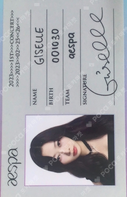 2023 aespa 1st Concert SYNK : HYPER LINE ID CARD + FANLIGHT DECO STICKER SET photocard
