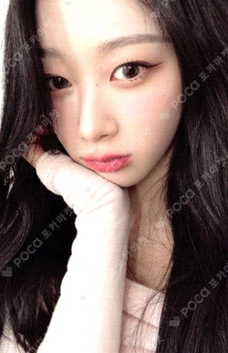MY WORLD TRADING CARD SET D photocard