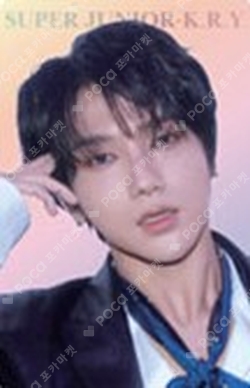 Pocamarket, SUPER JUNIOR YESUNG 2025 SEASON'S GREETINGS RANDOM