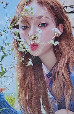 Better Things RANDOM TRADING CARD B VER. photocard