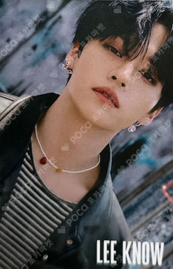 Pocamarket, Stray Kids LEE KNOW STRAY KIDS x SKZOO POP-UP STORE