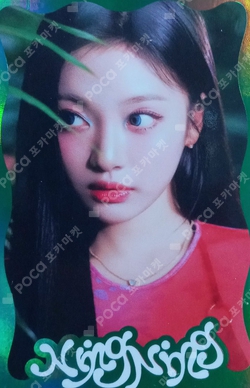 Better Things RANDOM TRADING CARD B VER. photocard
