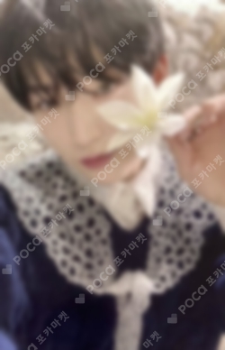 Pocamarket, ENHYPEN SUNOO DARK BLOOD DEAR MY MUSE K-pop Photocard