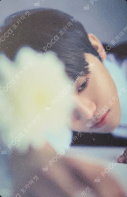 Pocamarket, NCT JAEMIN DREAM( )SCAPE QR Ver. K-pop Photocard