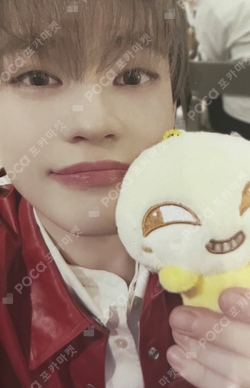 Pocamarket, NCT CHENLE DREAM( )SCAPE MU-MO SHOP K-pop Photocard