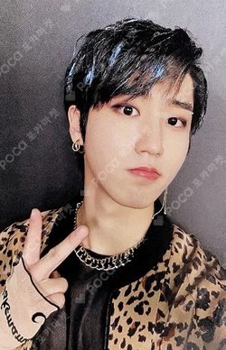 Pocamarket, Stray Kids HAN IN生 MECIMA K-pop Photocard