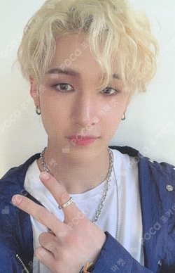 StrayKids bangchan yellowwood バンチャン トレカ StrayKids bangchan yellowwood バンチャン トレカ Amazon.co.jp