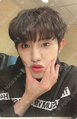 Pocamarket, OnlyOneOf Mill Bump up Business K-pop Photocard