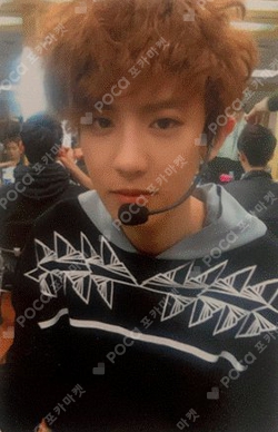 Pocamarket, EXO CHANYEOL LOVE ME RIGHT CHINESE Ver. SMTOWN MUSEUM