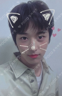 Pocamarket, THE BOYZ JUYEON a;effect MUVVE K-pop Photocard