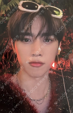 Pocamarket, THE BOYZ SUNWOO Healing Bird K-pop Photocard