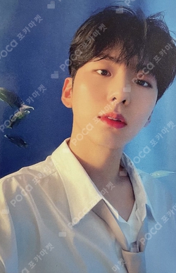 Pocamarket, MONSTA X KIHYUN 2023 MONSTA X 7TH OFFICIAL