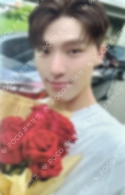 Pocamarket, Seventeen DINO FML CARAT Ver. KMS K-pop Photocard