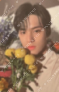 Pocamarket, Seventeen MINGYU SEVENTEEN RIGHT HERE WORLD TOUR CARAT