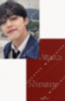 Pocamarket, Seventeen S.COUPS HAPPY S.COUPS DAY BIRTHDAY BOX VER.4