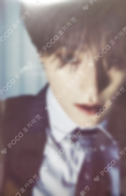 Pocamarket, Seventeen DINO Attacca WEVERSE JAPAN K-pop Photocard