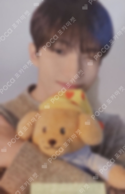 Pocamarket, Seventeen DK Artist-Made Collection by SEVENTEEN