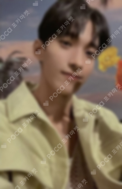Pocamarket, Seventeen DK SECTOR 17 NEW BEGINNING ver. K-pop Photocard