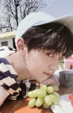 ZEROBASEONE キムギュビン その他メンバー まとめ売り Pocamarket, ZEROBASEONE KIM GYUVIN ZEROBASEONE 2ND FANCLUB KIT