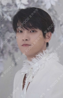 SF9 Photocards | Pocamarket