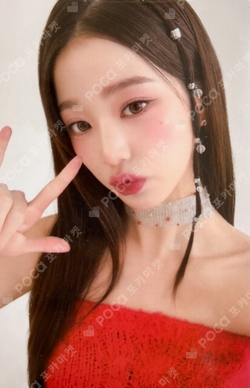 AMUSE photocard
