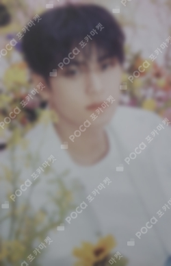 Pocamarket, Seventeen MINGYU ALWAYS YOURS WEVERSE K-pop