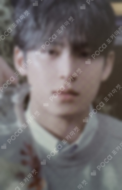 Pocamarket, Seventeen MINGYU 17 IS RIGHT HERE POWER STATION LUCKY