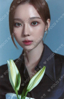 Alluring Atelier Atelier Photo Set photocard