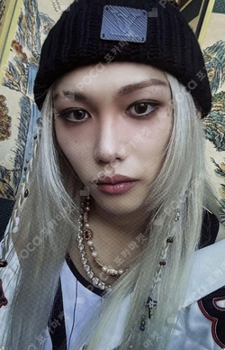 【WEB限定】 Pocamarket, Stray Kids FELIX (5-STAR) Everline K-pop Photocard K-POP・アジア
