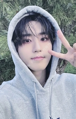 Pocamarket, Stray Kids HAN 合 (HOP) DEAR MY MUSE K-pop Photocard
