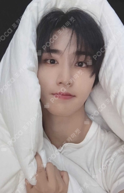 Pocamarket, Stray Kids HAN 合 (HOP) JYP SHOP K-pop Photocard