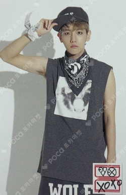 Pocamarket, EXO BAEKHYUN XOXO SMTOWN MUSEUM K-pop Photocard