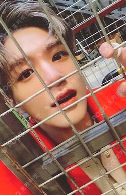 Pocamarket, NCT JENO Photo + Luggage Sticker Set - Dreaming K-pop