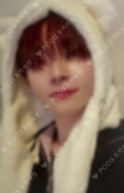 Pocamarket, &TEAM NICHOLAS Back to Life Photocard Box Weverse