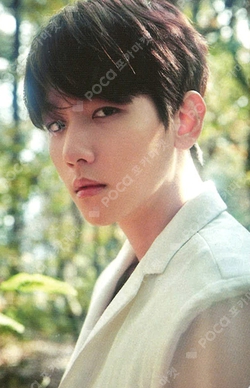 Pocamarket, EXO BAEKHYUN EXO PLANET #4 The EℓyXiOn in JAPAN K-pop