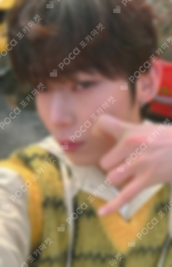 ENHYPEN ソヌ dark blood dear my muse 特典 公式 ENHYPEN ソヌ dark blood dear my muse 特典 公式 ENHYPEN ソヌ