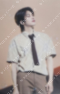 Pocamarket, Seventeen WONWOO Happy Ending CARAT Edition K-pop