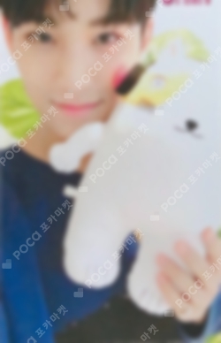 Pocamarket, Seventeen MINGYU SEVENTEEN 2018 JAPAN ARENA TOUR 'SVT