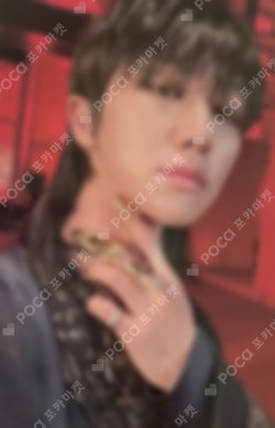 K-POP+アジア SEVENTEEN - seventeen nimoca K-POP・アジア seventeen nimoca seventeen nimoca K-POP・アジア