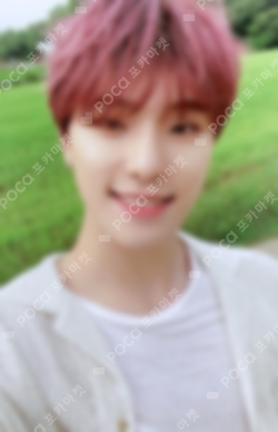 Pocamarket, Seventeen DINO BOYS BE K-pop Photocard