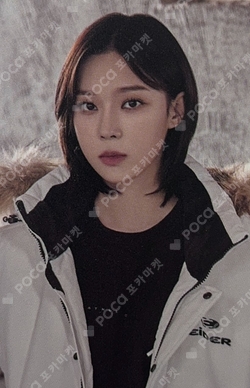 Eider photocard