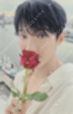 Pocamarket, Seventeen DK Holiday Special Box K-pop Photocard