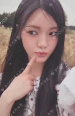 The Chase Minibook Ver. photocard