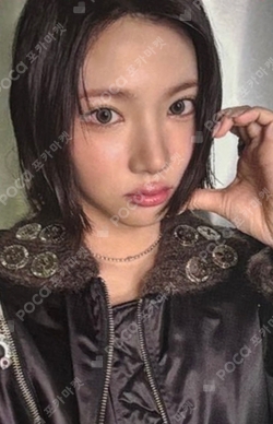 The Chase APPLEMUSIC photocard
